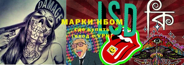 гашик Покров