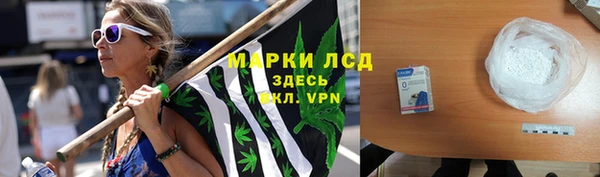 крисы Чегем