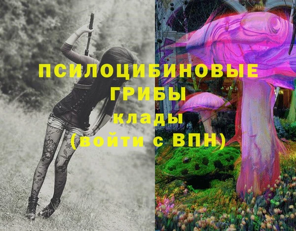 тгк Покачи
