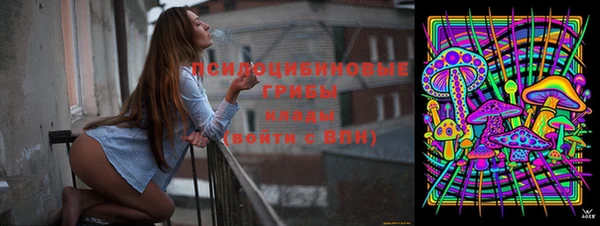 крисы Покровск