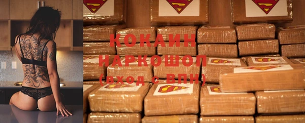 крисы Чегем