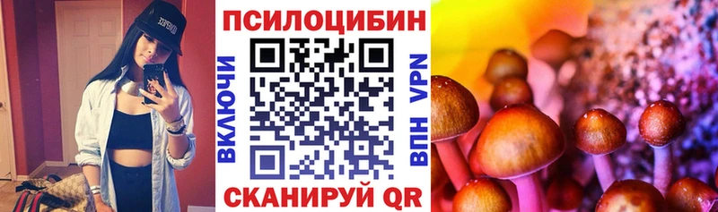 Галлюциногенные грибы Psilocybine cubensis  купить закладку  Ак-Довурак 